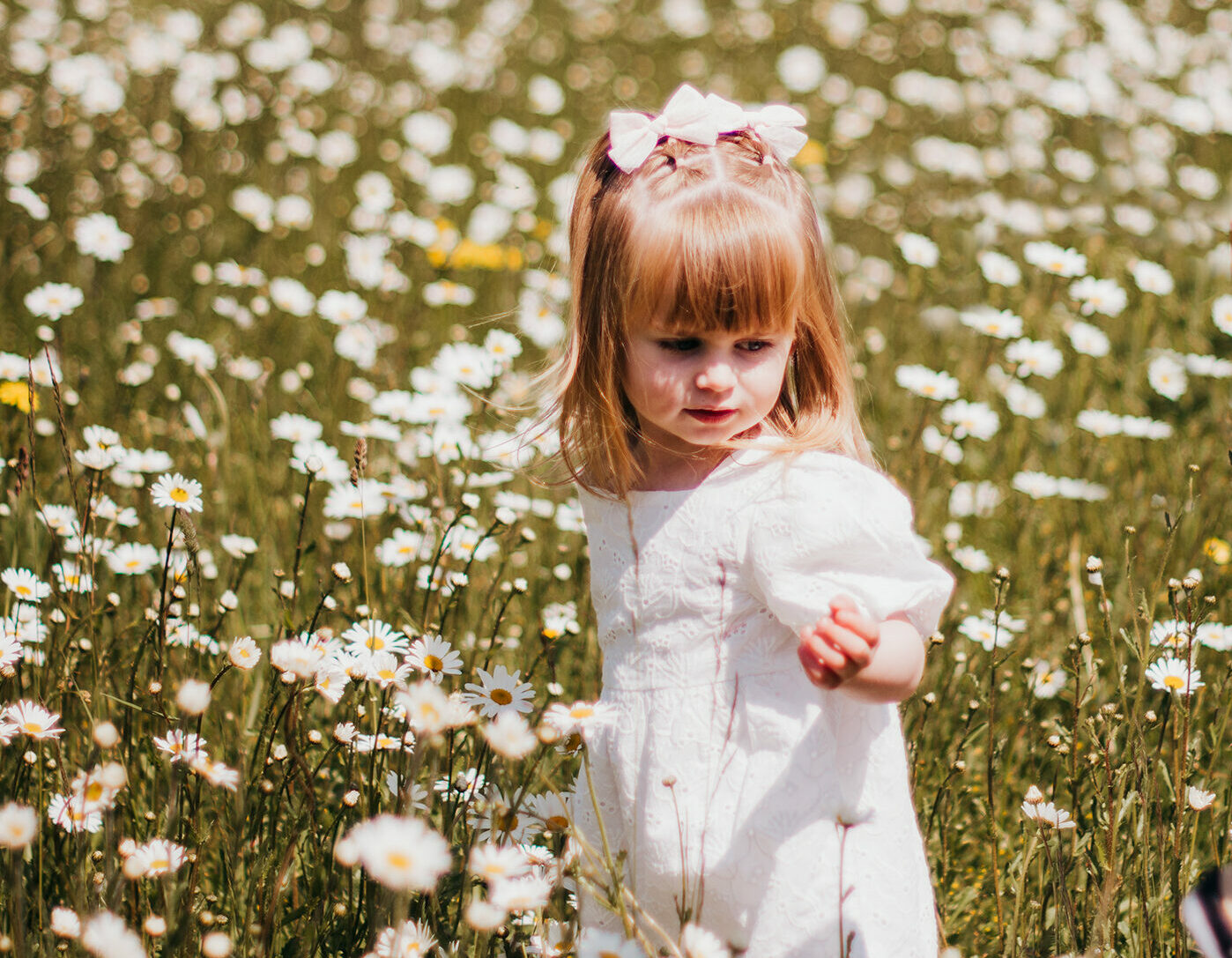 Photo of little girl in a field of daisies. 
